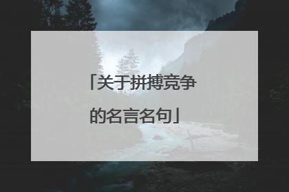 关于拼搏竞争的名言名句