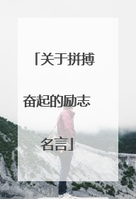 关于拼搏奋起的励志名言