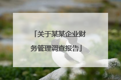 关于某某企业财务管理调查报告