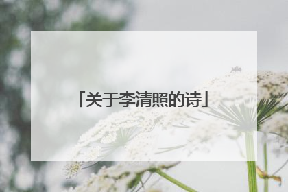 关于李清照的诗