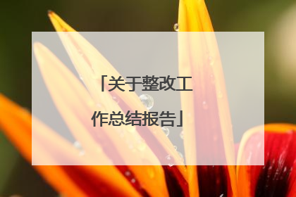 关于整改工作总结报告