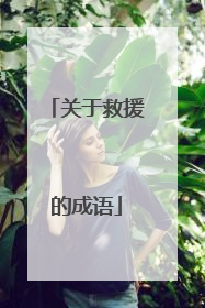 关于救援的成语