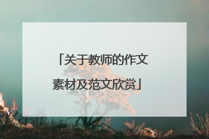 关于教师的作文素材及范文欣赏