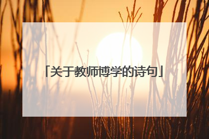 关于教师博学的诗句