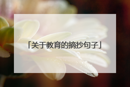 关于教育的摘抄句子