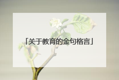 关于教育的金句格言