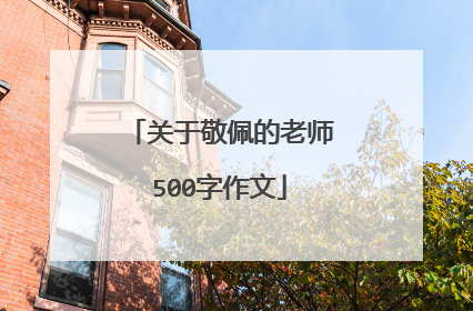 关于敬佩的老师500字作文