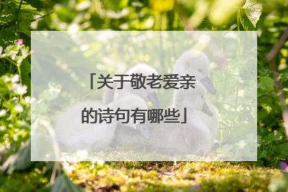 关于敬老爱亲的诗句有哪些