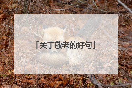 关于敬老的好句