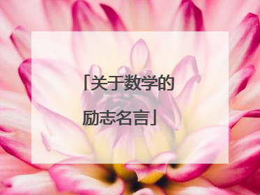 关于数学的励志名言