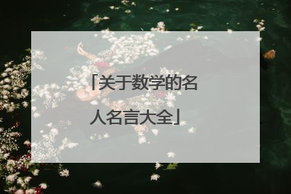 关于数学的名人名言大全