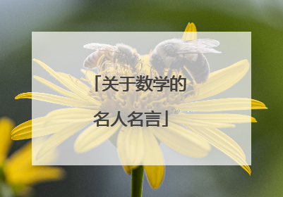 关于数学的名人名言