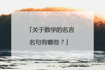 关于数学的名言名句有哪些？