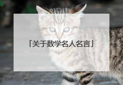 关于数学名人名言