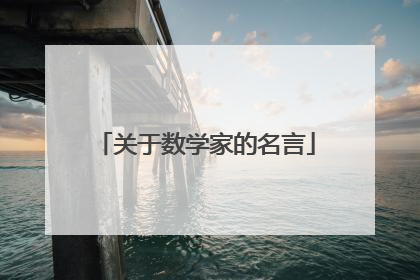 关于数学家的名言