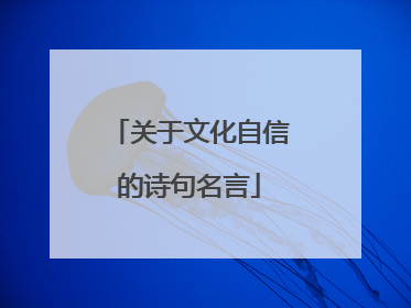 关于文化自信的诗句名言