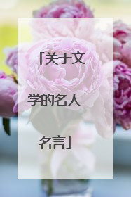 关于文学的名人名言