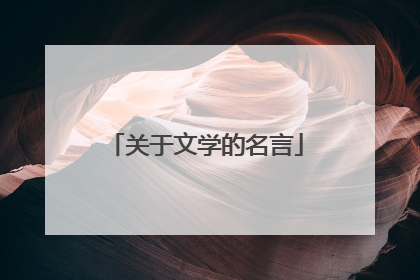 关于文学的名言