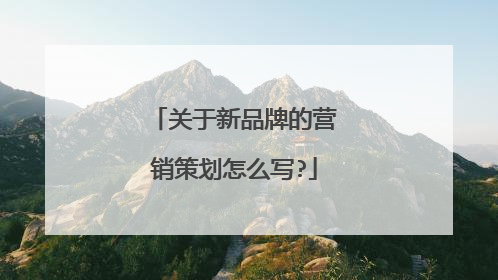 关于新品牌的营销策划怎么写?