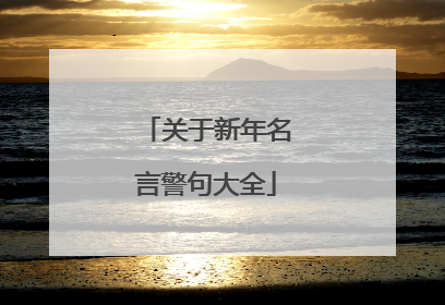 关于新年名言警句大全
