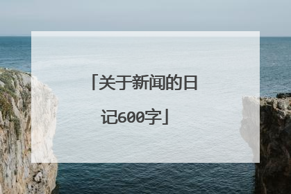 关于新闻的日记600字