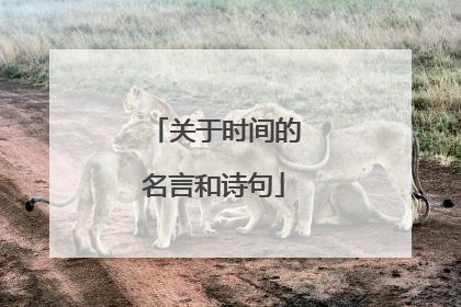 关于时间的名言和诗句