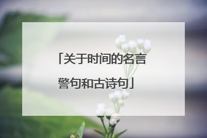 关于时间的名言警句和古诗句