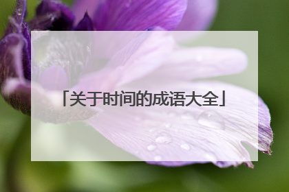 关于时间的成语大全