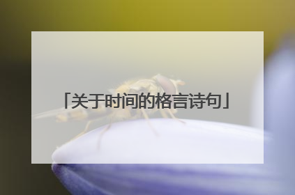 关于时间的格言诗句