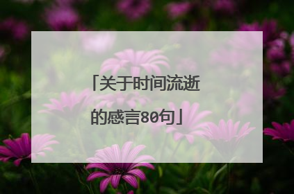 关于时间流逝的感言80句