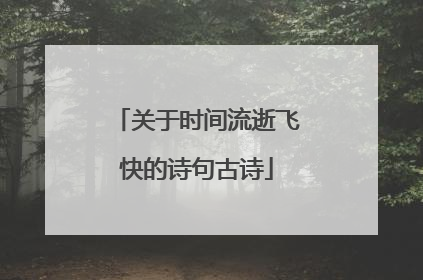 关于时间流逝飞快的诗句古诗