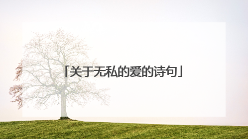 关于无私的爱的诗句
