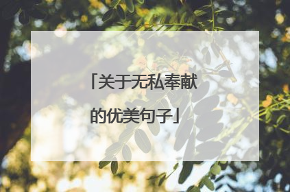 关于无私奉献的优美句子