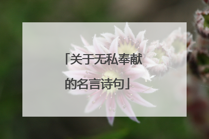 关于无私奉献的名言诗句