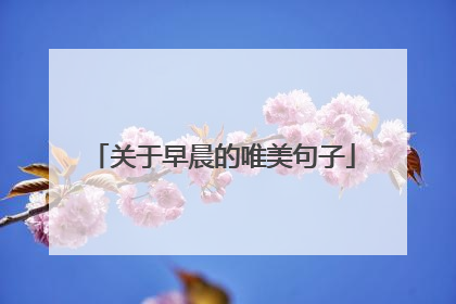 关于早晨的唯美句子