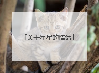 关于星星的情话