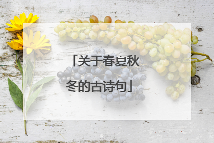 关于春夏秋冬的古诗句