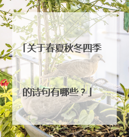 关于春夏秋冬四季的诗句有哪些?