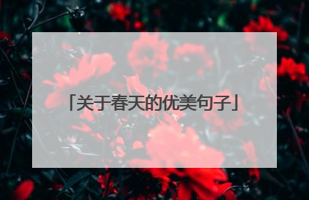 关于春天的优美句子