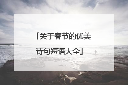 关于春节的优美诗句短语大全