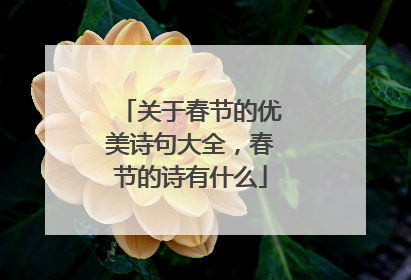 关于春节的优美诗句大全，春节的诗有什么