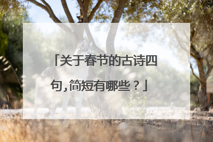 关于春节的古诗四句,简短有哪些?