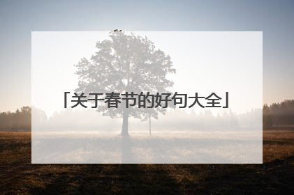 关于春节的好句大全