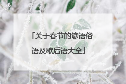 关于春节的谚语俗语及歇后语大全