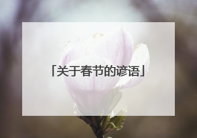 关于春节的谚语