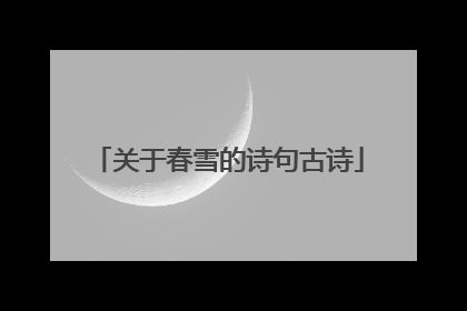 关于春雪的诗句古诗