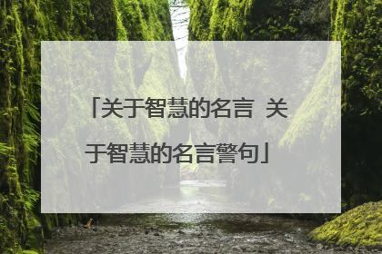 关于智慧的名言 关于智慧的名言警句