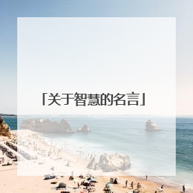 关于智慧的名言