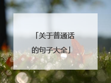 关于普通话的句子大全