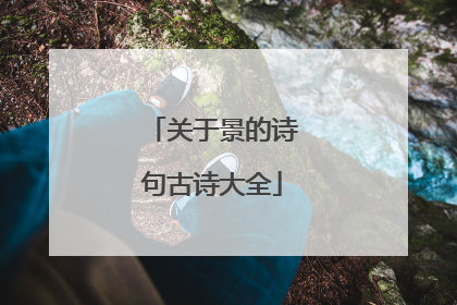 关于景的诗句古诗大全